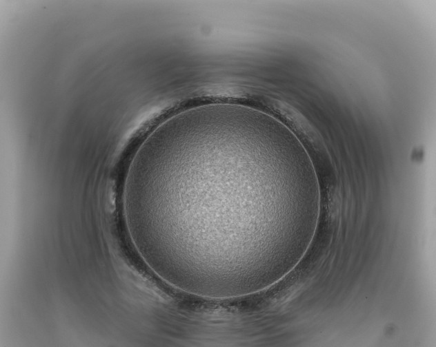 X0000092030731200709131619
