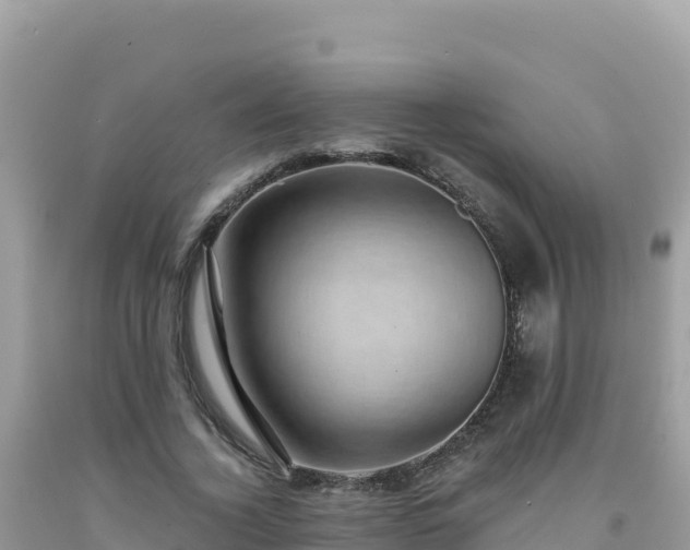 X0000092030732200709131619
