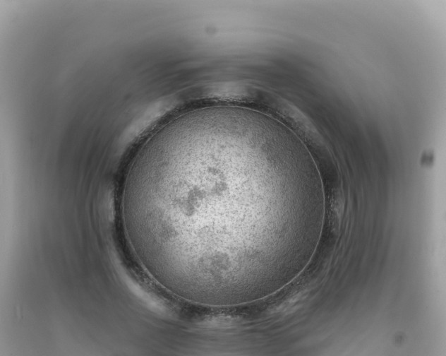 X0000092030734200709131619