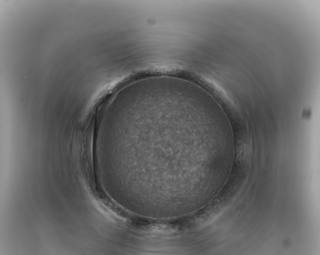X0000092030736200709131619