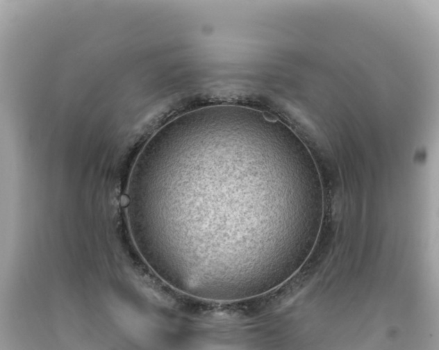 X0000092030737200709131619