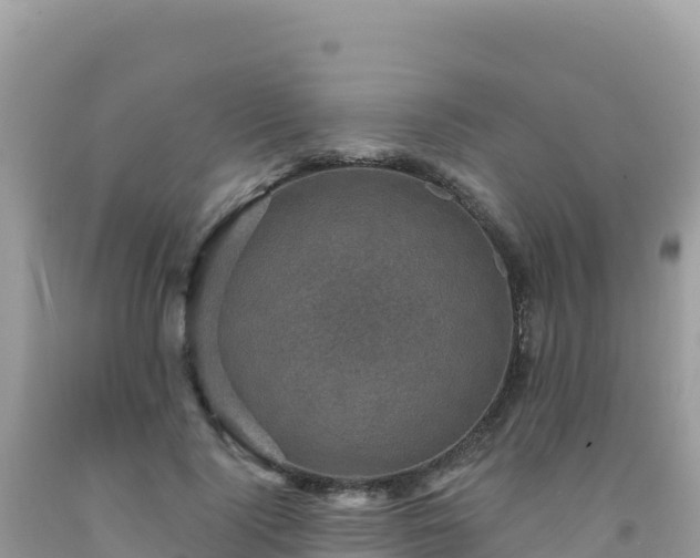 X0000092030740200709131619