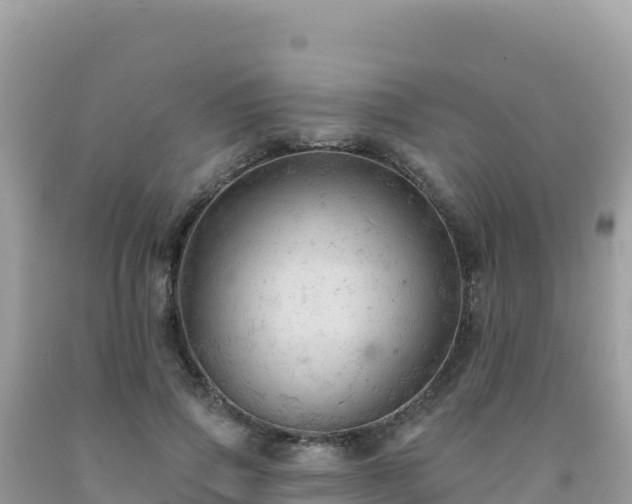 X0000092030741200709131619