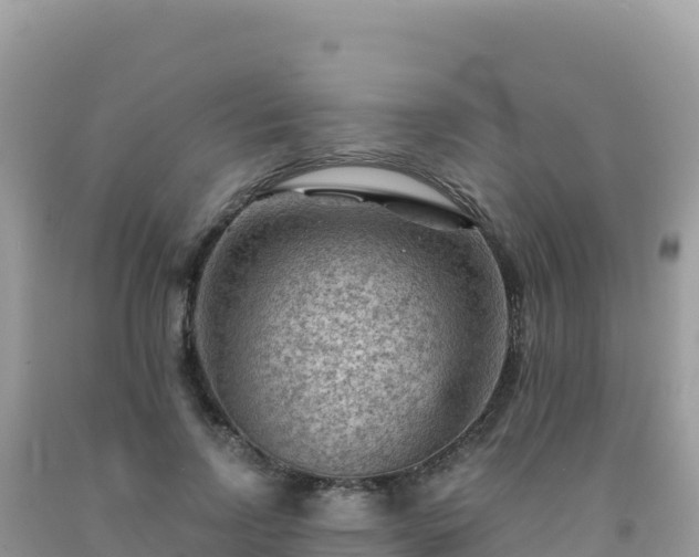 X0000092030742200709131619