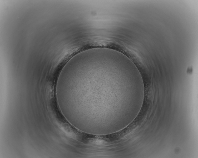 X0000092030743200709131619