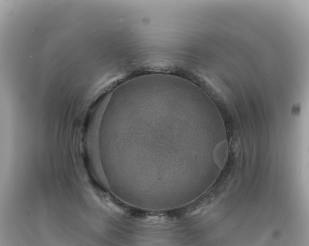 X0000092030744200709131619