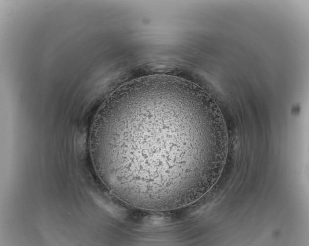 X0000092030745200709131619