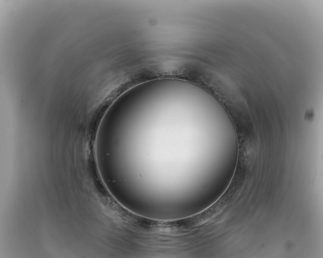 X0000092030746200709131619