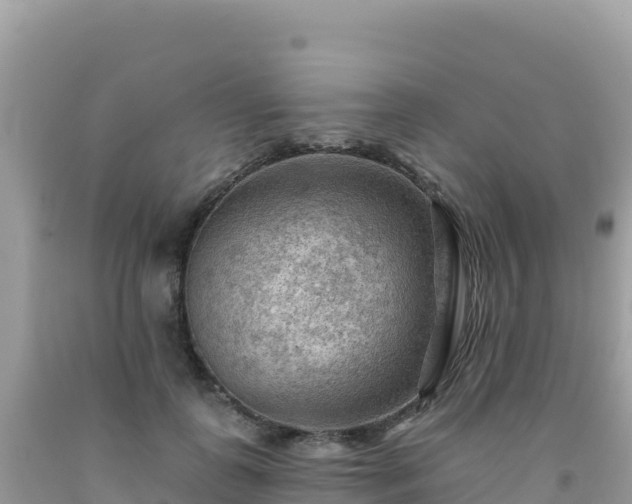 X0000092030747200709131619
