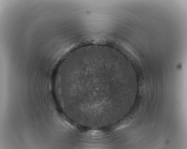 X0000092030748200709131619