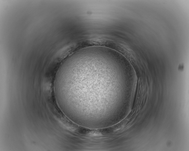 X0000092030749200709131619