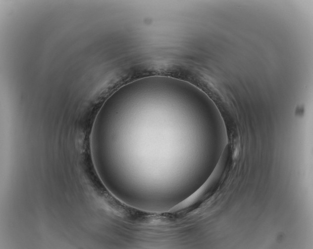 X0000092030750200709131619