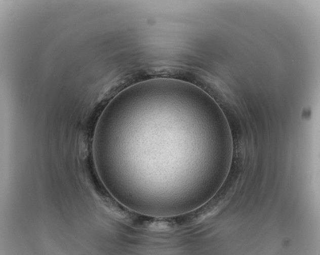X0000092030751200709131619