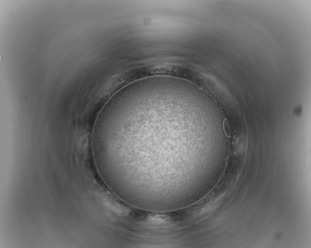 X0000092030753200709131619