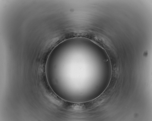 X0000092030756200709131619