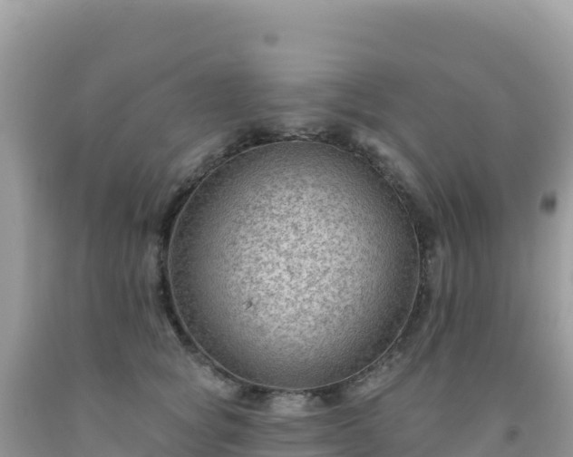X0000092030757200709131619