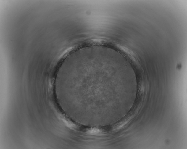 X0000092030759200709131619