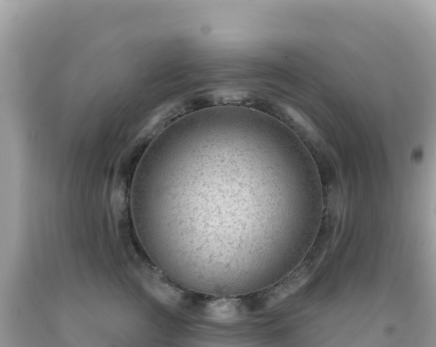 X0000092030761200709131619