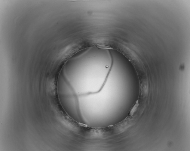 X0000092030764200709131619