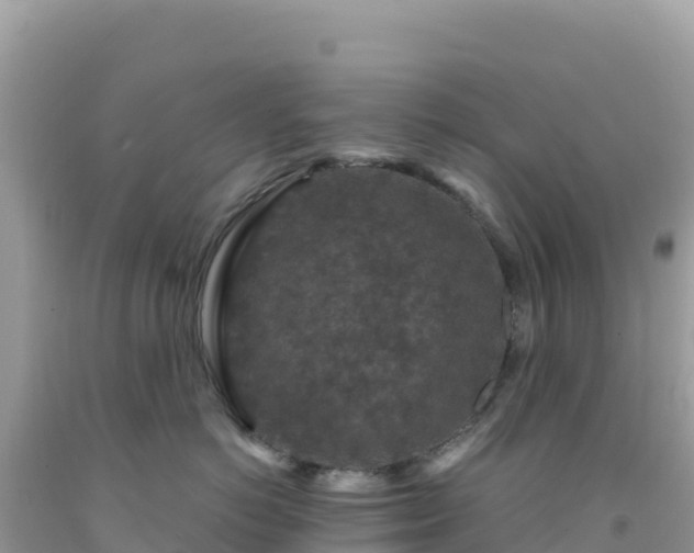 X0000092030766200709131619