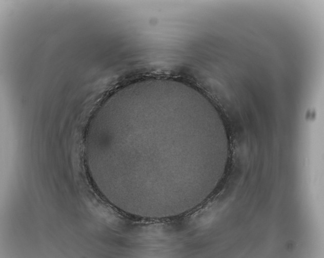 X0000092030769200709131618