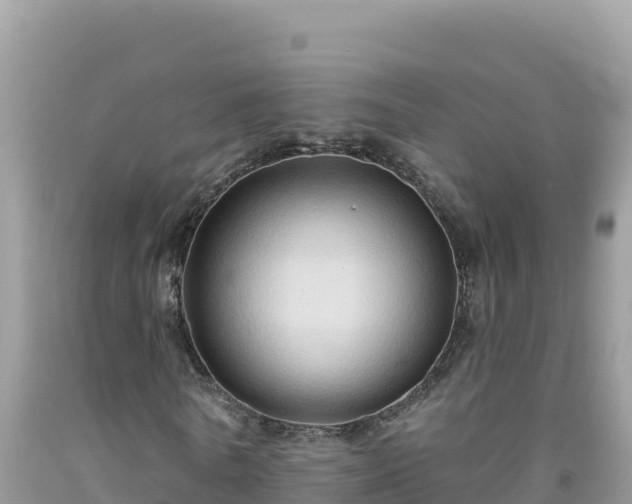 X0000092030770200709131618