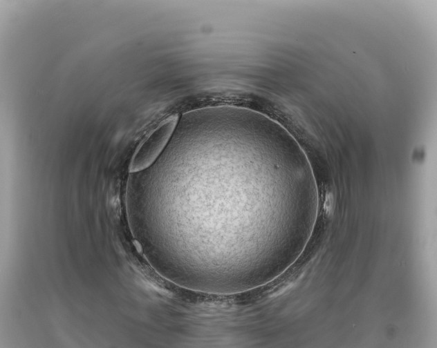 X0000092030771200709131618