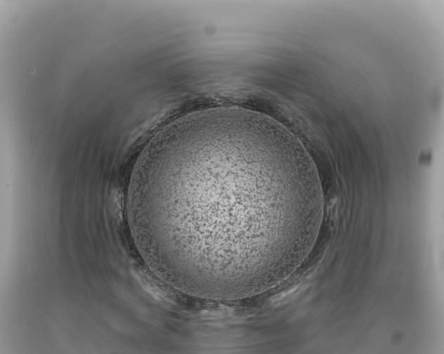 X0000092030772200709131618
