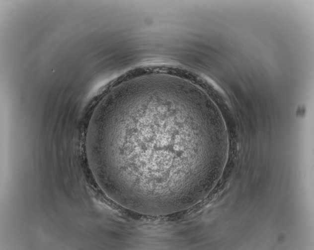 X0000092030775200709131618