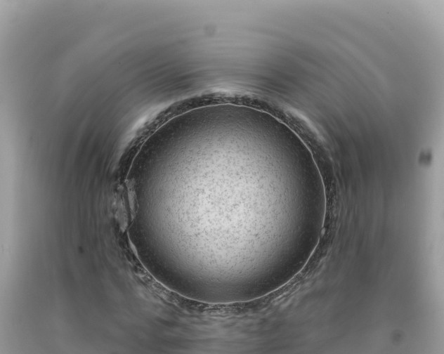 X0000092030776200709131618