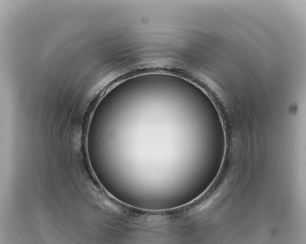 X0000092030778200709131618