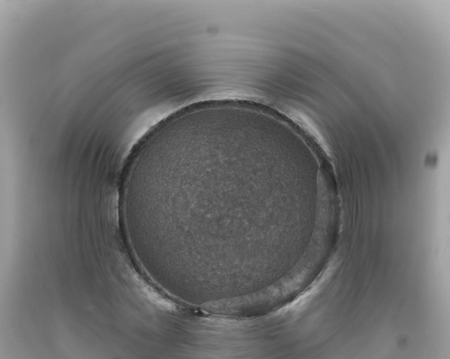 X0000092030781200709131618