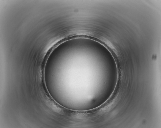 X0000092030782200709131618