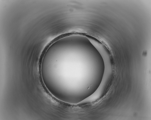 X0000092030784200709131618