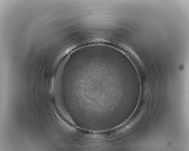 X0000092030785200709131618
