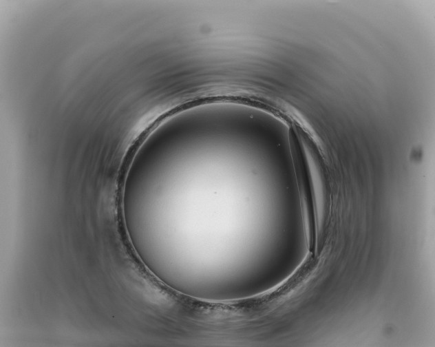 X0000092030786200709131618