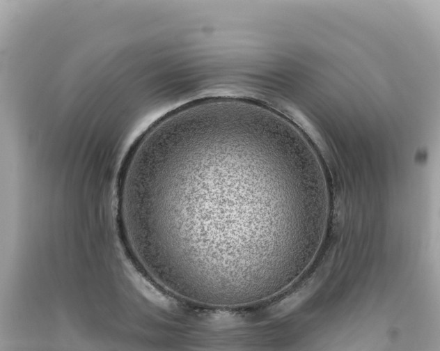 X0000092030787200709131618