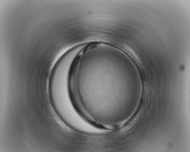 X0000092030788200709131618