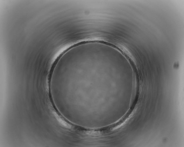 X0000092030789200709131618