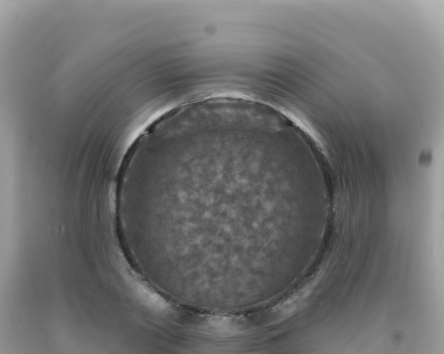 X0000092030790200709131618