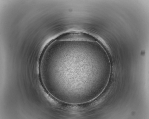 X0000092030791200709131618