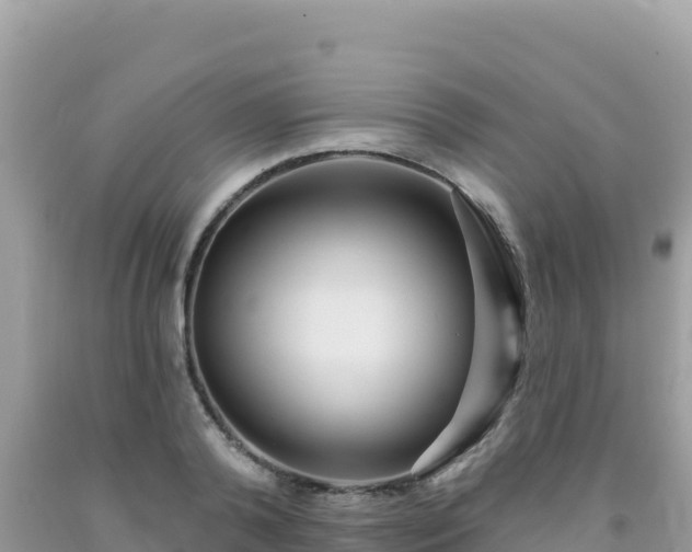 X0000092030792200709131618