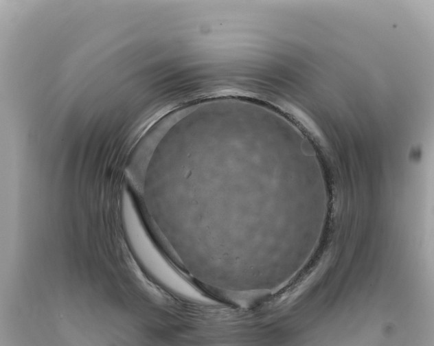 X0000092030793200709131618