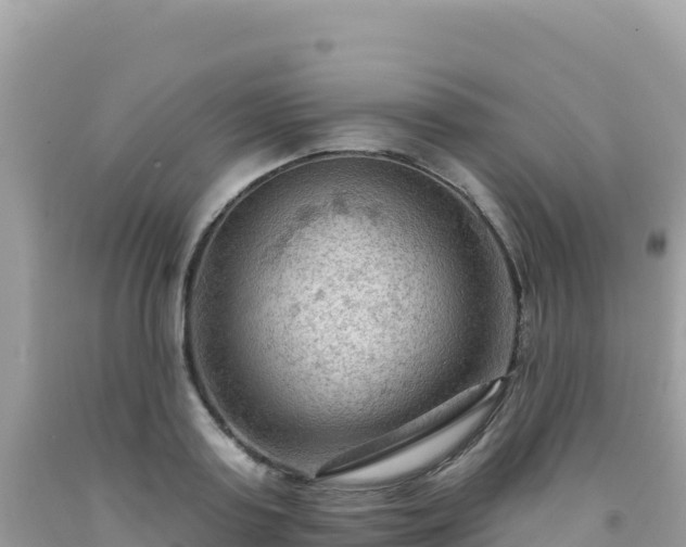 X0000092030795200709131618
