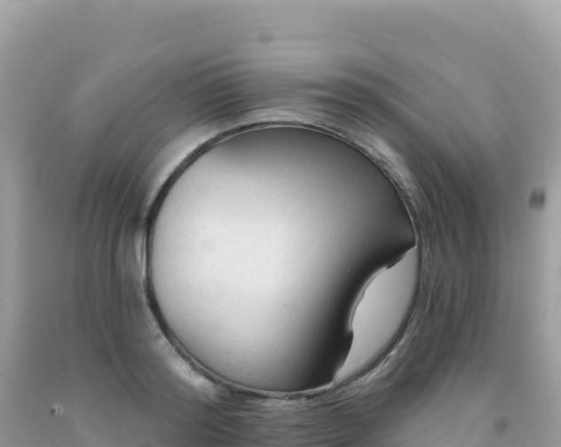 X0000092030796200709131618