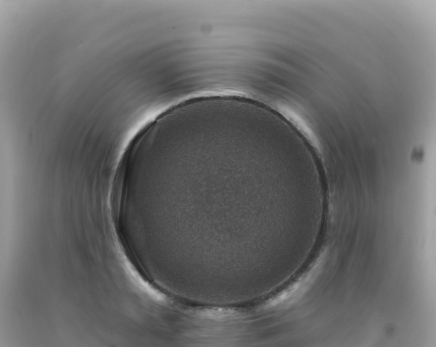 X0000092030797200709131618
