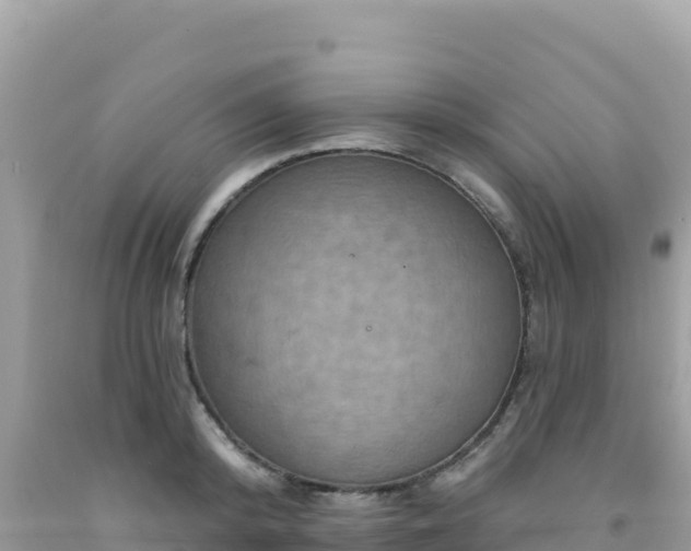 X0000092030800200709131618