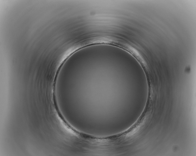 X0000092030802200709131618