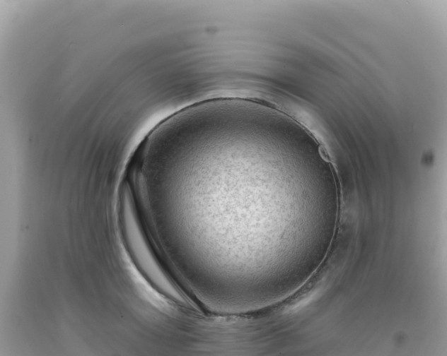 X0000092030803200709131618