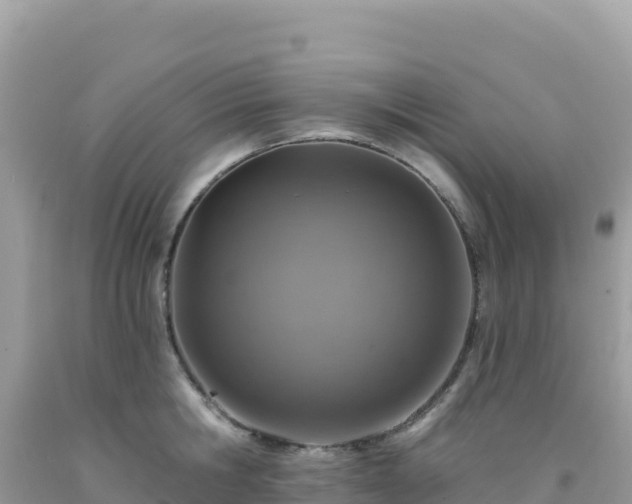 X0000092030806200709131618